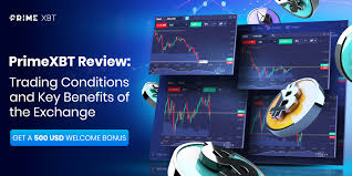 Comprehensive Guide to PrimeXBT Risk Disclosure Comprehensive Guide to PrimeXBT Risk Disclosure