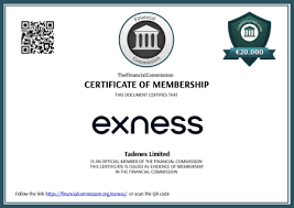 Exploring Exness ECN Broker Your Gateway to Forex Trading
